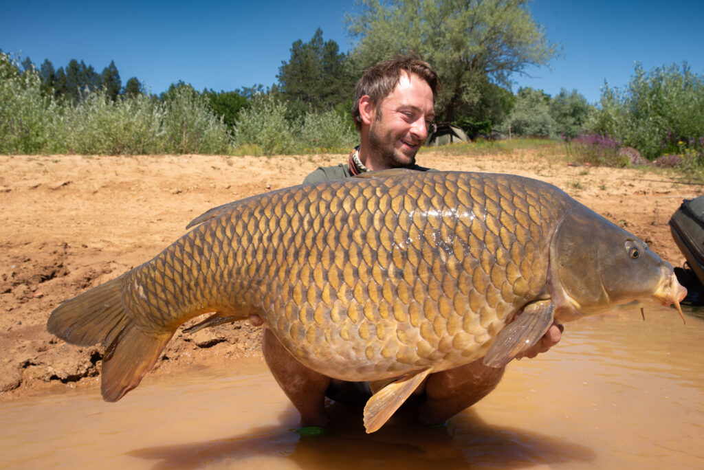 Startseite von Robin Illner